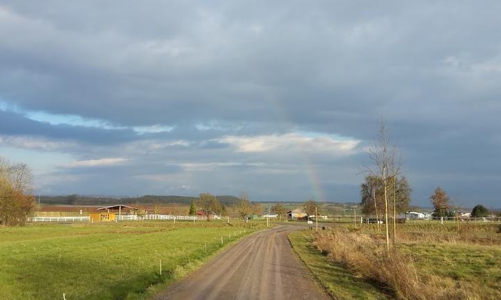 Gasthaus Zum Forcheneck